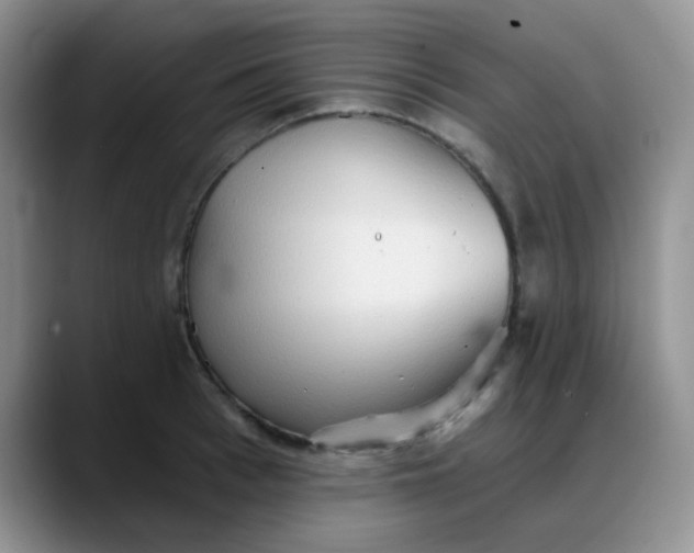 X0000088180993200705291948