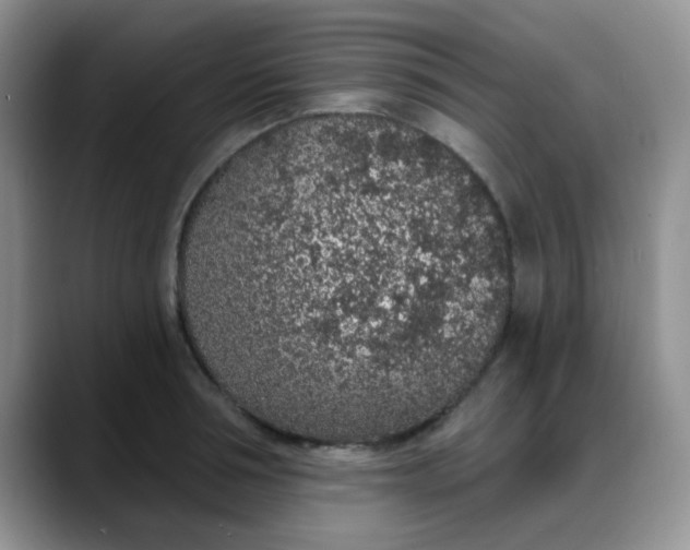 X0000088180994200705291948