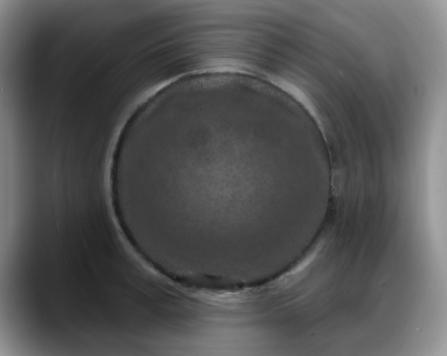 X0000088180995200705291948