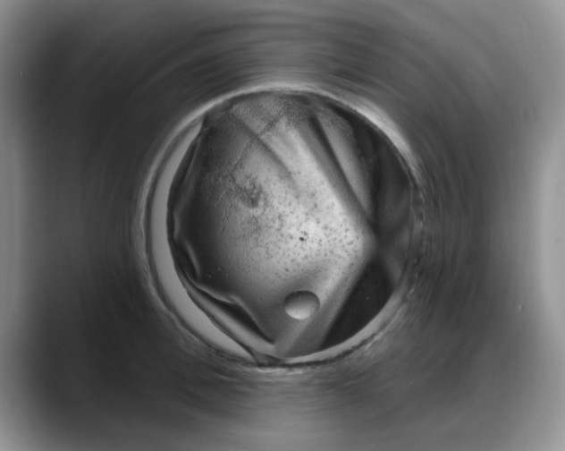 X0000088180996200705291948