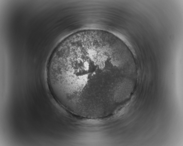 X0000088180998200705291948