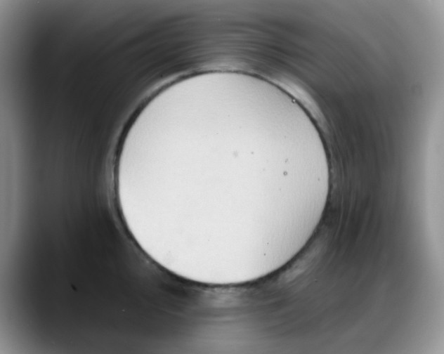 X0000088181000200705291948