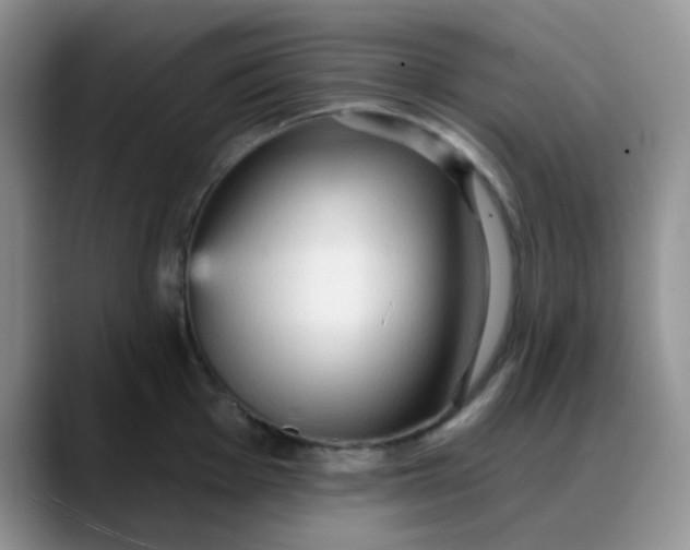 X0000088181001200705291948