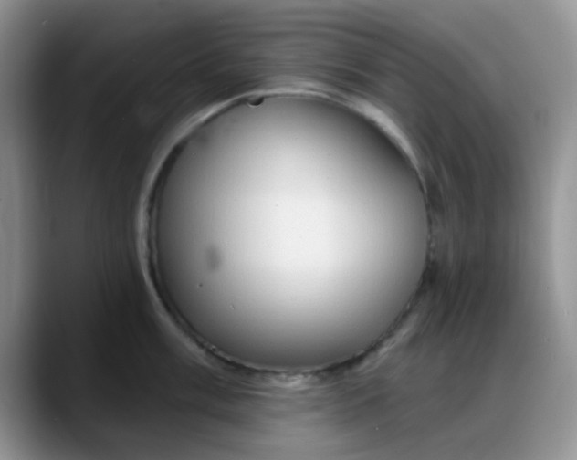 X0000088181003200705291948