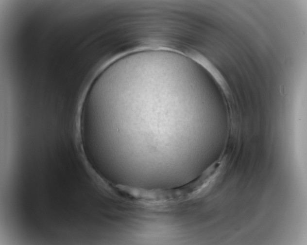 X0000088181004200705291948