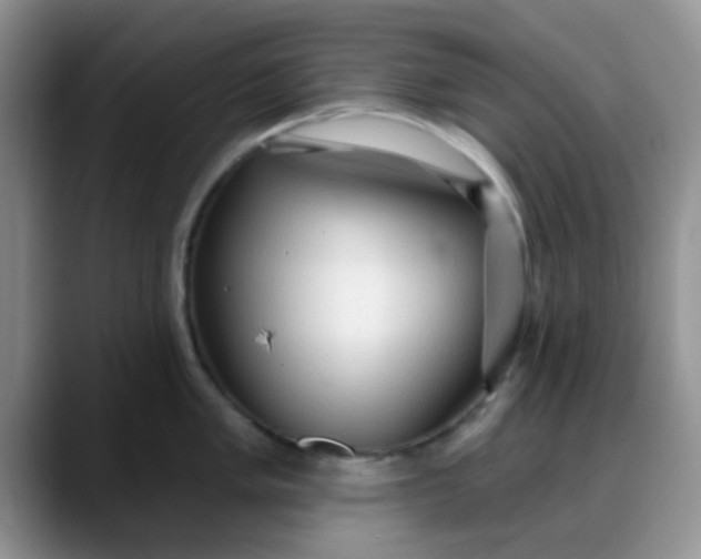 X0000088181005200705291948