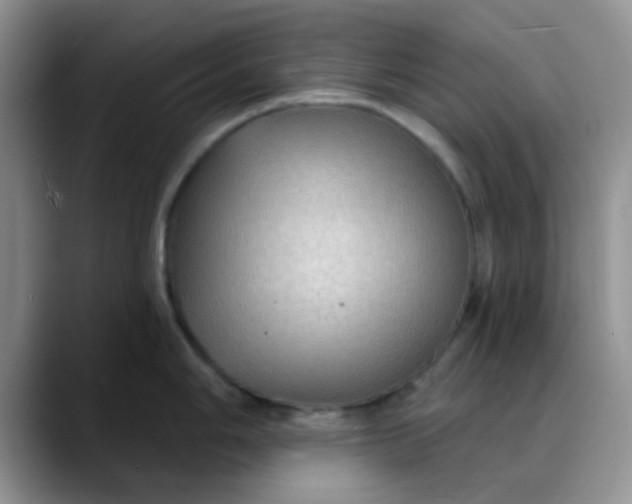 X0000088181006200705291948