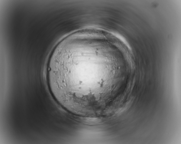 X0000088181007200705291948