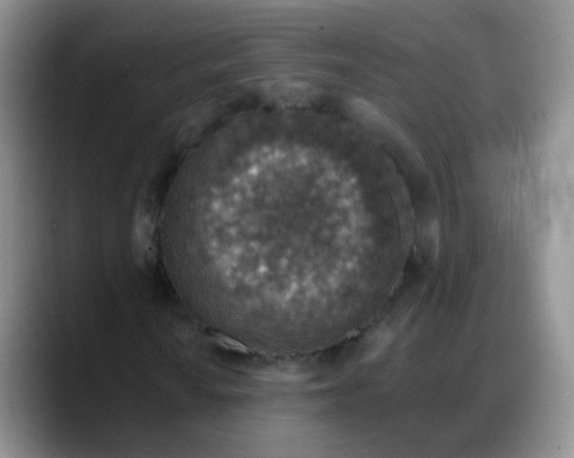 X0000088181010200705291947