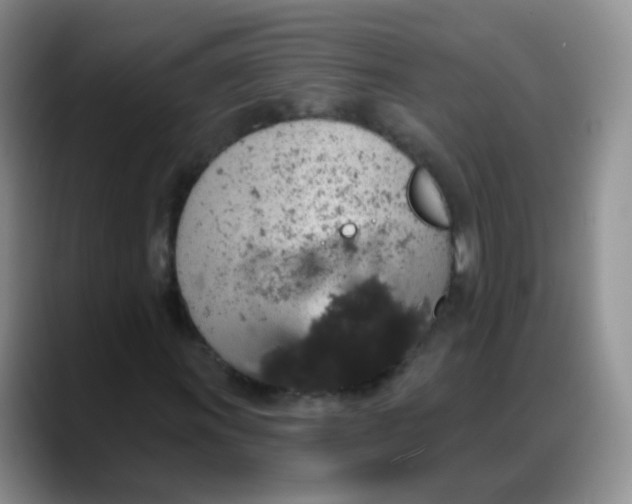 X0000088181011200705291947