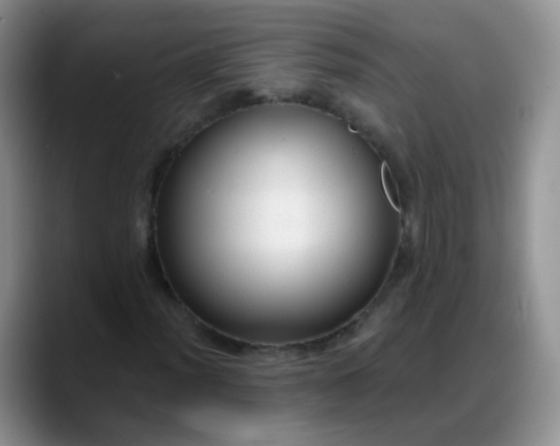 X0000088181012200705291947