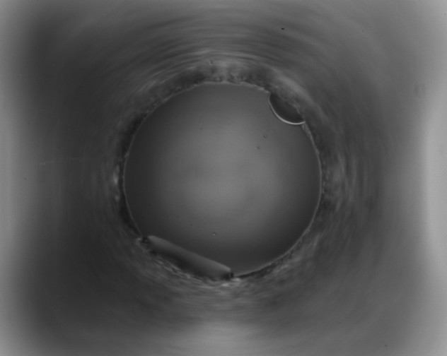 X0000088181013200705291947