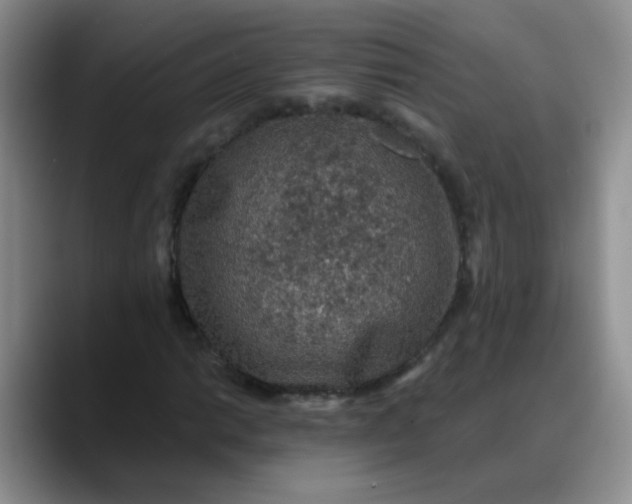 X0000088181014200705291947