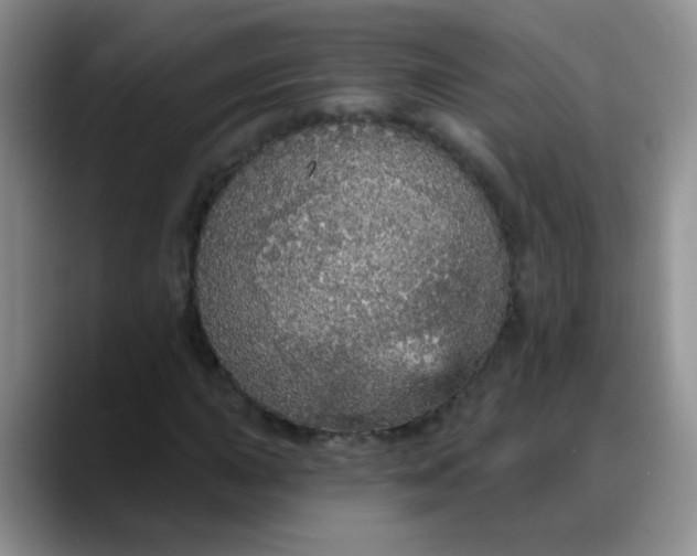 X0000088181015200705291947