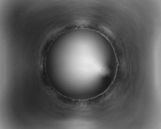 X0000088181016200705291947