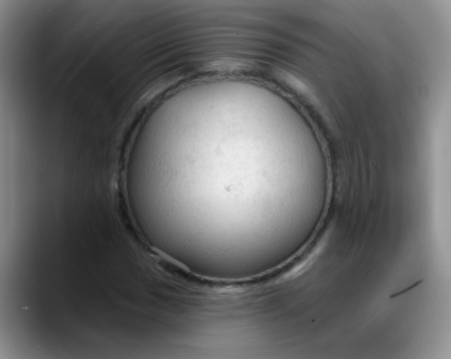 X0000088181017200705291947