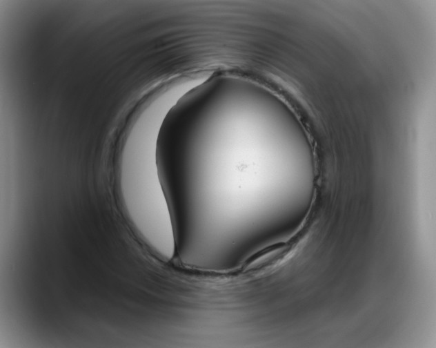 X0000088181018200705291947