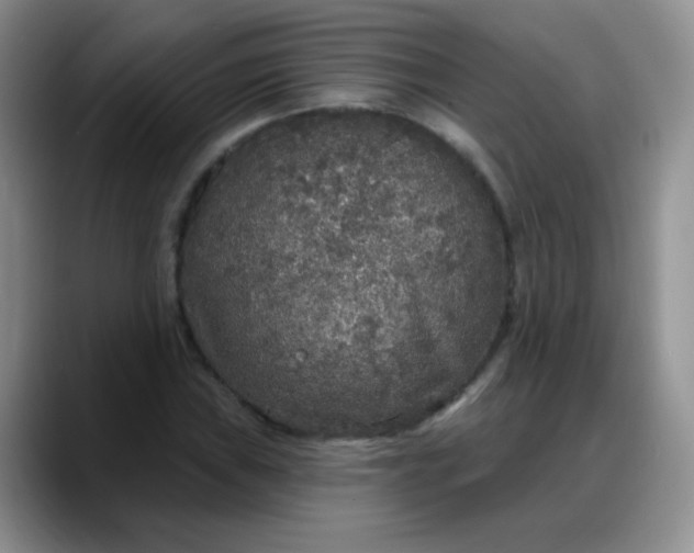 X0000088181019200705291947