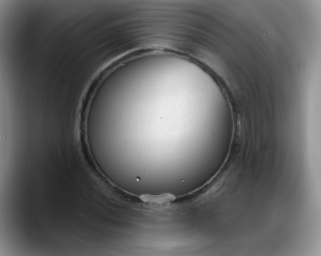 X0000088181020200705291947