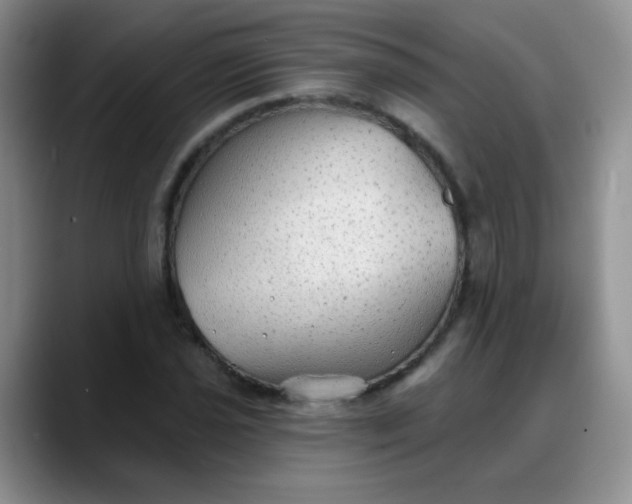 X0000088181021200705291947