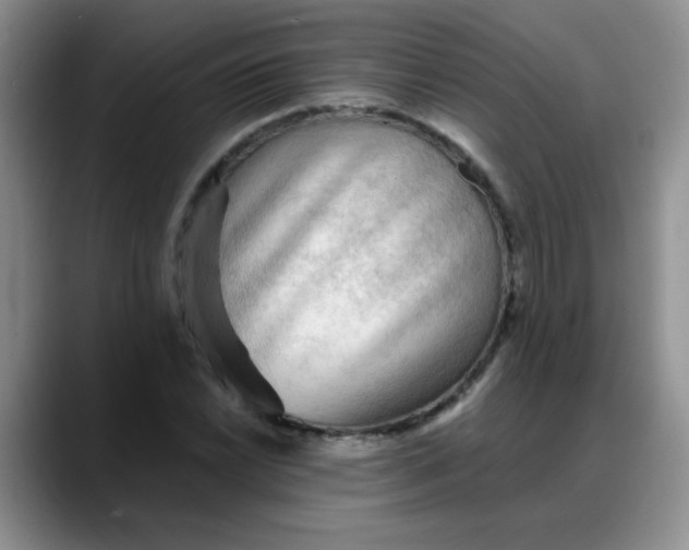 X0000088181022200705291947