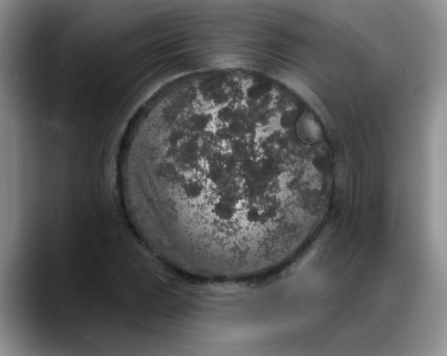 X0000088181023200705291947