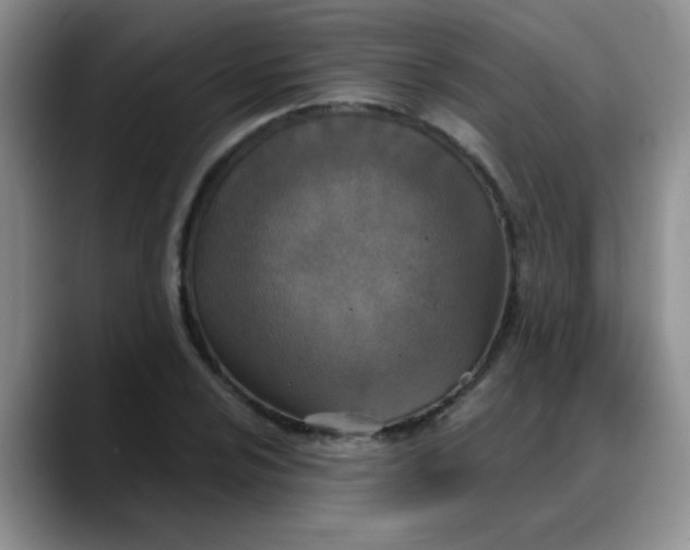 X0000088181024200705291947