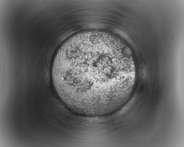 X0000088181025200705291947