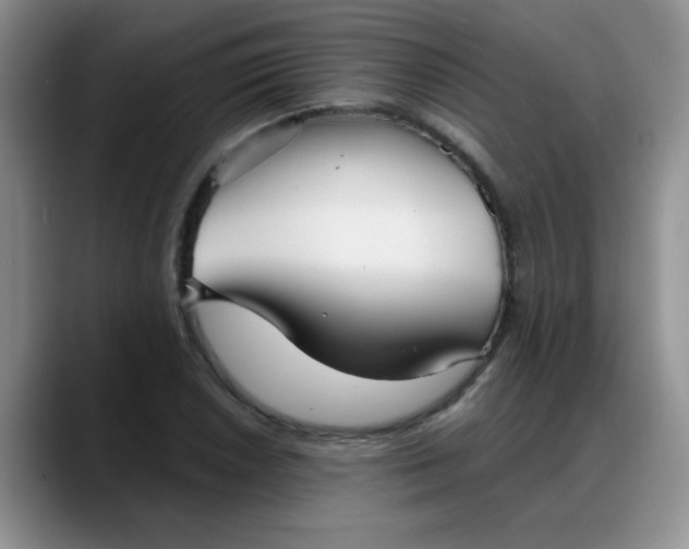 X0000088181026200705291947