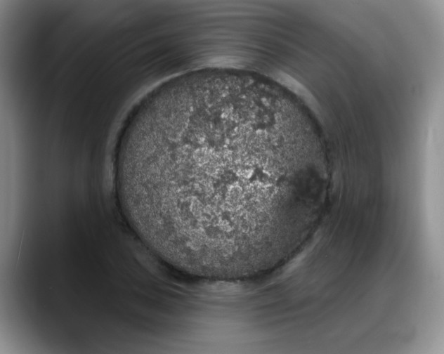 X0000088181027200705291948