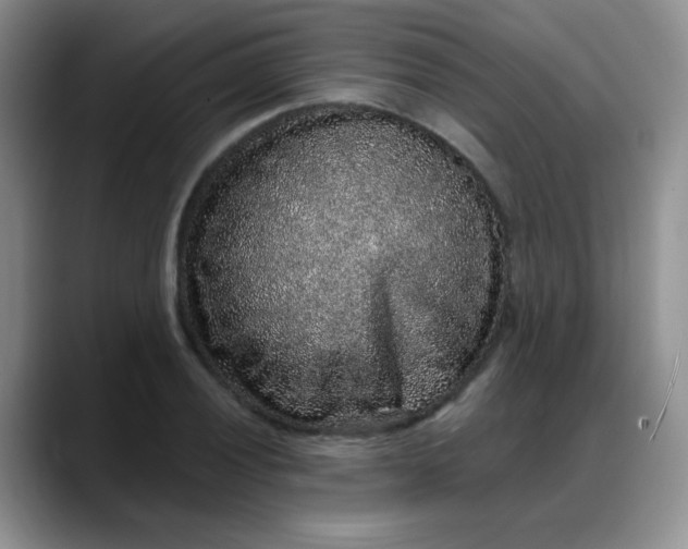 X0000088181028200705291948