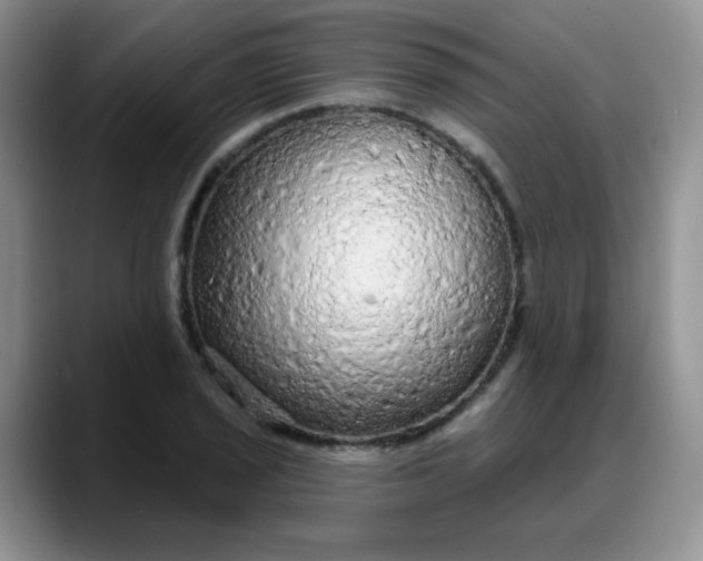 X0000088181029200705291948