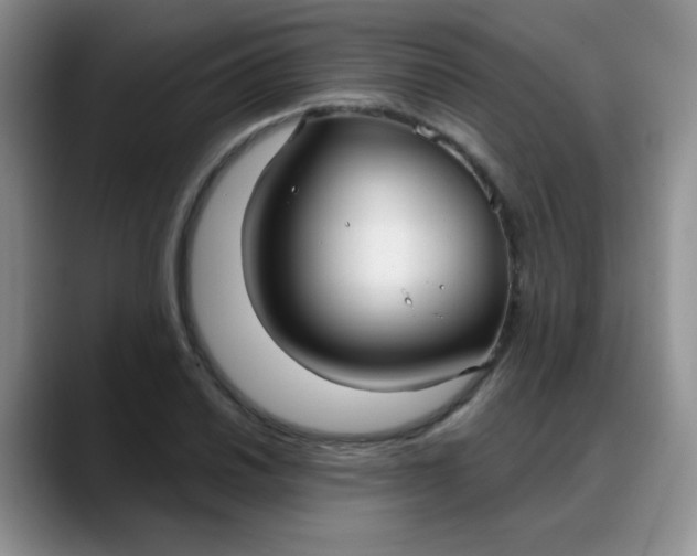 X0000088181030200705291948