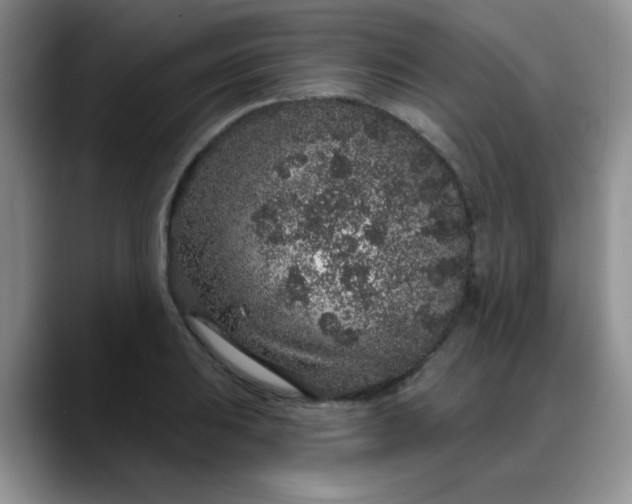 X0000088181031200705291948