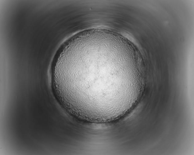 X0000088181032200705291948