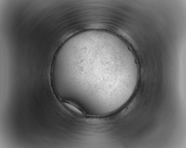 X0000088181033200705291948