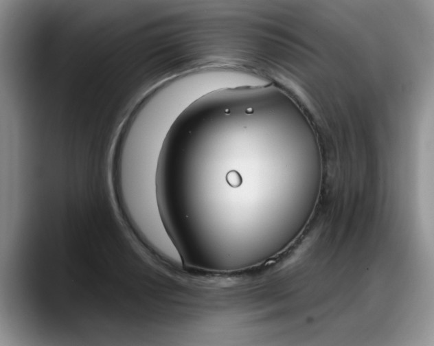 X0000088181034200705291948