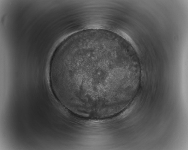 X0000088181035200705291948