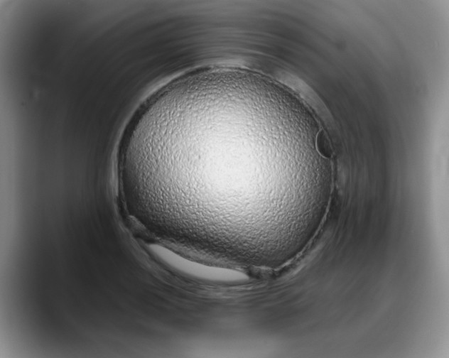 X0000088181036200705291948