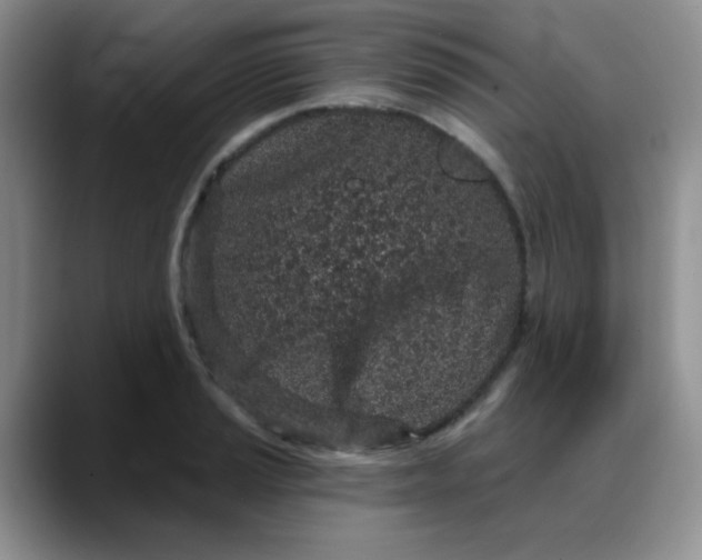 X0000088181037200705291948