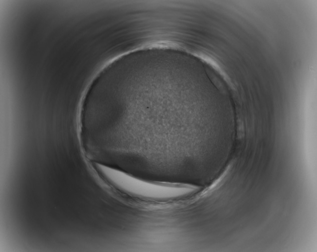 X0000088181038200705291948