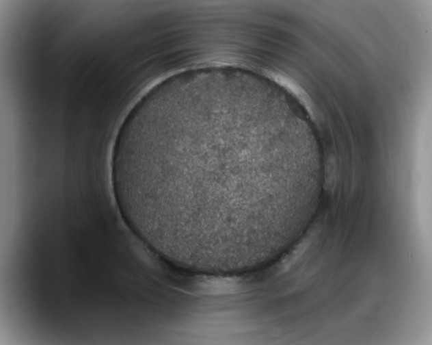 X0000088181039200705291948