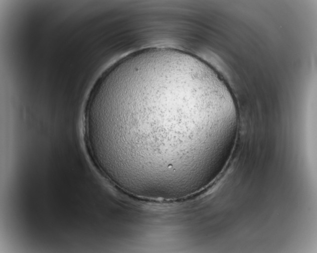 X0000088181040200705291948