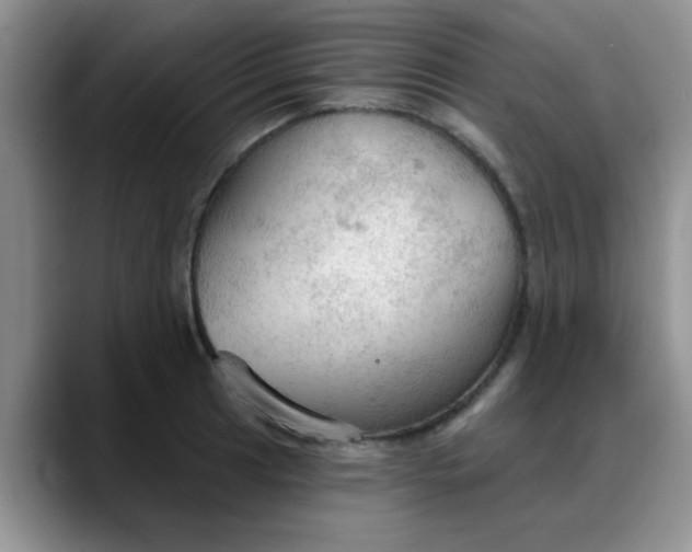 X0000088181041200705291948