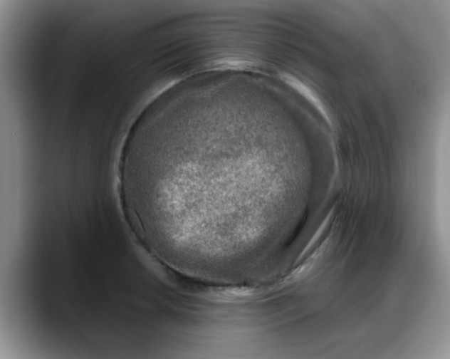 X0000088181042200705291948