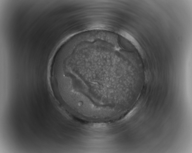 X0000088181043200705291948