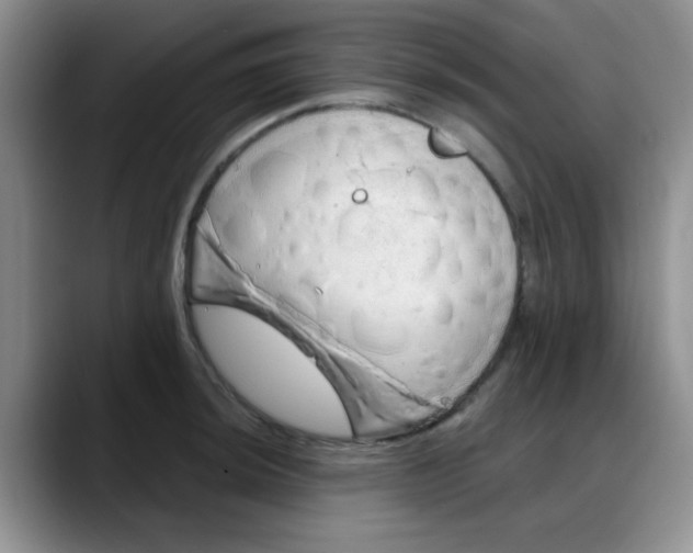 X0000088181044200705291948