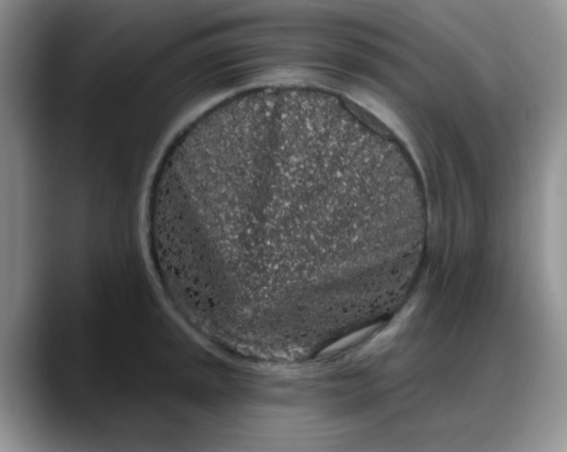 X0000088181045200705291948