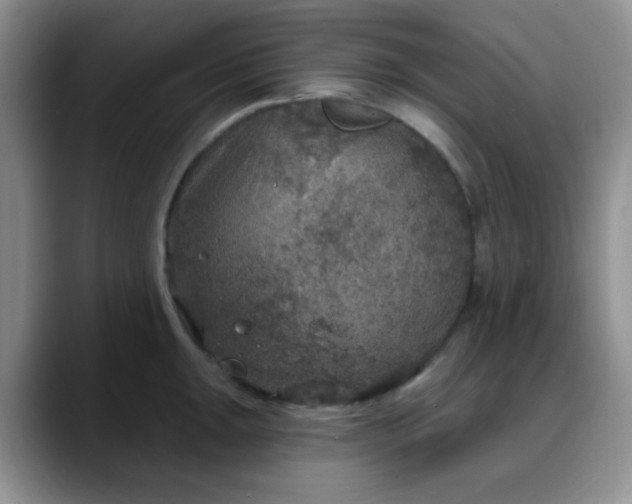 X0000088181047200705291948