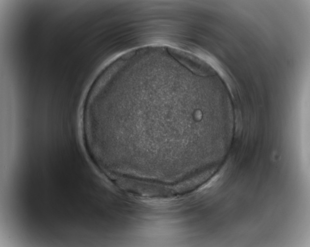 X0000088181048200705291948